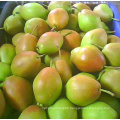 Chinese sweet and juicy fruit fresh green Ya pear with low price
